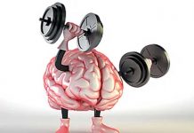 Científicos detallan la función que tiene una misteriosa parte del cerebro Descubren qué función tiene una misteriosa zona del cerebro