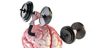 Descubren qué función tiene una misteriosa zona del cerebro