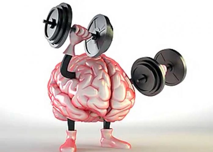 Descubren qué función tiene una misteriosa zona del cerebro