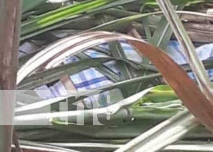 chichi-1 Foto: Víctima de presunto femicidio en Chichigalpa, Chinandega / TN8