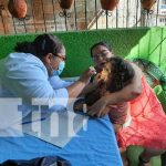 Foto: Atención gratuita en clínicas móviles en Managua / TN8