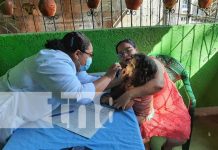 Foto: Atención gratuita en clínicas móviles en Managua / TN8