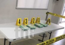 Foto: Conferencia de prensa sobre incautación de cocaína en Managua / TN8
