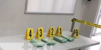 Foto: Conferencia de prensa sobre incautación de cocaína en Managua / TN8