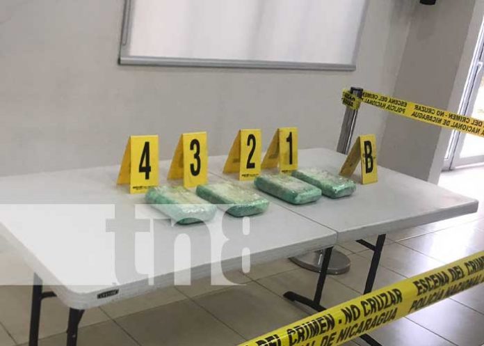 Foto: Conferencia de prensa sobre incautación de cocaína en Managua / TN8