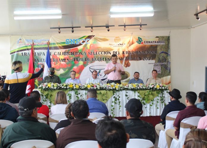 cona Primera Etapa de la Selección del Jurado Nacional para el Certamen Taza de Excelencia Nicaragua 2023