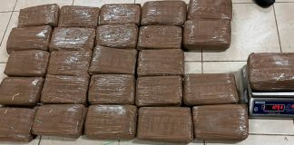 Capturan a dos "nicas" con casi 2 mil paquetes de marihuana en Costa Rica
