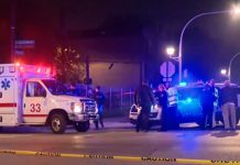 Violencia armada no para en Estados Unidos: En enero reportan 33 balaceras Violencia armada no para en Estado Unidos: En enero reportan 33 balaceras