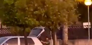 ¡Impactante video! A plena luz del día secuestran a una mujer en España