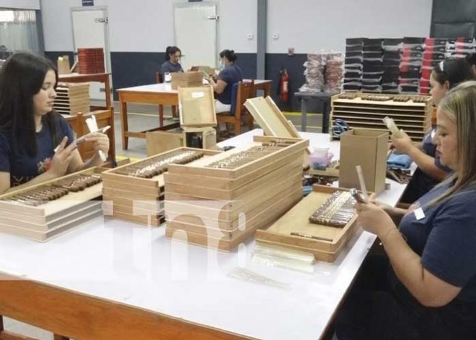 Foto: Millonaria inversión en Estelí para nueva fábrica de puros / TN8