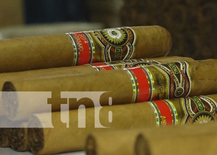 Foto: Festival Puro Sabor en Estelí / TN8