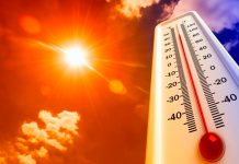 Calor insólito en pleno invierno asola varios países de Europa Calor insólito en pleno invierno asola varios países de Europa