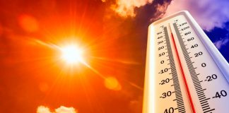 Calor insólito en pleno invierno asola varios países de Europa
