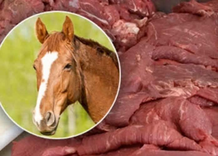 francia3 Mandan a la cárcel a 15 personas por venta de carne de caballo en Francia