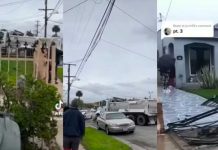 Perdió la cabeza por el divorcio y estrelló un camión contra la casa de su ex No aguantó el divorcio y estrelló el camión de basura