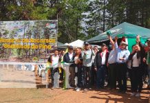 INTA inaugura finca experimental de recursos genéticos de pino en Madriz INTA inaugura finca experimental de recursos genéticos de pino en Madriz