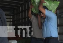 Una mejor educación: Llegan maletas escolares a Ometepe Foto: Entrega de maletas escolares en la Isla de Ometepe / TN8