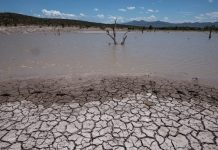 Registran múltiples afectaciones por sequía en el 80% de México Registran múltiples afectaciones por sequía en el 80% de México
