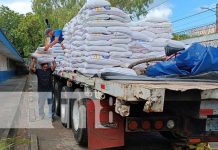 Llega la merienda escolar al Colegio Experimental México, Managua Foto: Distribución de la merienda escolar en el Colegio Experimental México, Managua / TN8