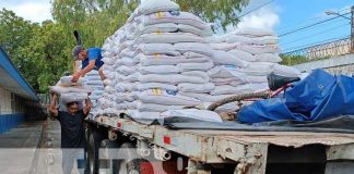 Foto: Distribución de la merienda escolar en el Colegio Experimental México, Managua / TN8