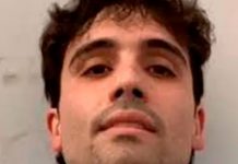 Siembran el terror en Culiacán tras la captura del hijo «El Chapo Guzmán» Siembran el terror en Culiacán tras la captura del hijo "El Chapo Guzmán"