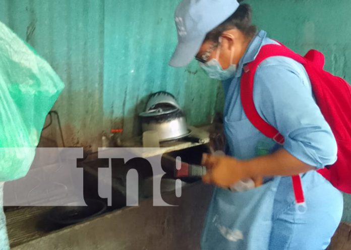 Foto: Brigadas visitan a familias del barrio Santa Rosa, en Managua / TN8