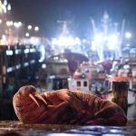 Cancelan show de fuegos artificiales en Inglaterra por una morsa ártica Cancelan show de fuegos artificiales en Inglaterra por una morsa ártica