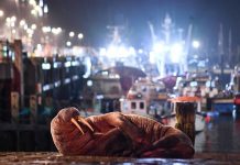 Cancelan show de fuegos artificiales en Inglaterra por una morsa ártica