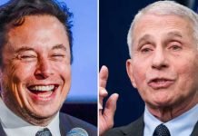 Musk parece estar cerca de sacar los «trapos sucios» de Fauci Foto: Elon Musk y Anthony Fauci / GETTY
