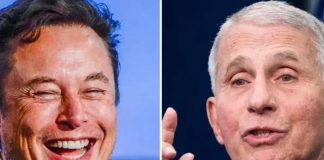 Foto: Elon Musk y Anthony Fauci / GETTY