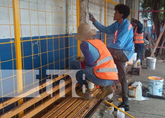 pard-2 Foto: Mejoramiento de paradas de buses en Managua / TN8