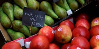Precios de alimentos batieron récord a nivel mundial en 2022