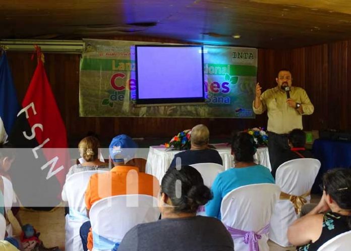 prod-sana-3 Foto: Lanzamiento del Certamen de la Producción Sana desde Masaya / TN8