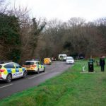 Perros embravecidos matan a una joven y otra resulta herida en Reino Unido