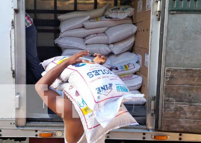 Foto: Merienda escolar lista para distribuirse en Rivas / TN8