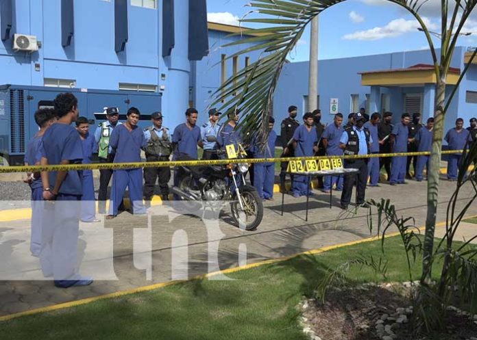 sego-leon-1 Foto: Captura de presuntos delincuentes en Nueva Segovia y León / TN8