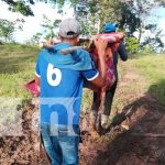 Foto: Recuperación de joven tras mordedura de serpiente en el Caribe Sur / TN8