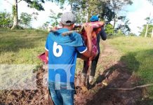 Foto: Recuperación de joven tras mordedura de serpiente en el Caribe Sur / TN8