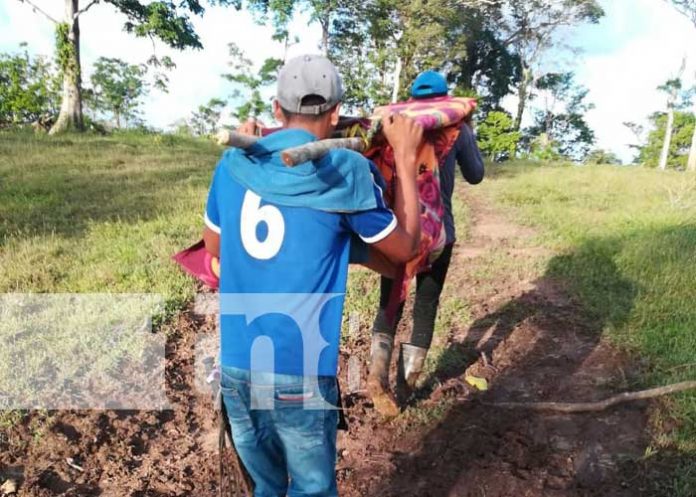 Foto: Recuperación de joven tras mordedura de serpiente en el Caribe Sur / TN8