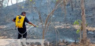 Foto: Incendio en maleza, cerca de colegio rural en Somoto / TN8