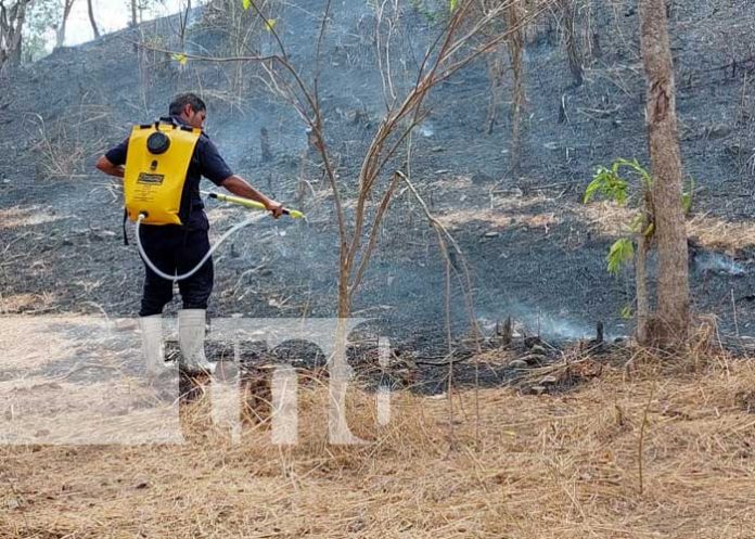 somt-mal-2 Foto: Incendio en maleza, cerca de colegio rural en Somoto / TN8