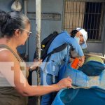 Foto: Aplicación de BTI en barrios de Managua / TN8
