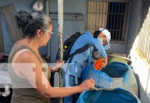 Foto: Aplicación de BTI en barrios de Managua / TN8