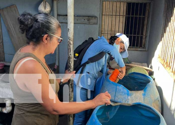 zanc-3 Foto: Aplicación de BTI en barrios de Managua / TN8