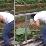 Viral por quedarse atrapado en barandas que él soldó Viral por quedarse atrapado en barandas que él soldó