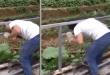 Viral por quedarse atrapado en barandas que él soldó