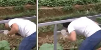 Viral por quedarse atrapado en barandas que él soldó