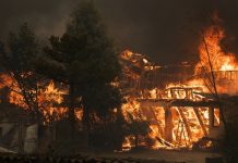 Aumentan a 22 las víctimas por incendios forestales en Chile Foto: Aumentan a 22 las víctimas por incendios forestales en Chile / Cortesía