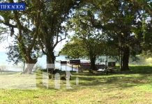 «Solentiname» Un tesoro arqueológico en Nicaragua "Solentiname" Un tesoro arqueológico en Nicaragua