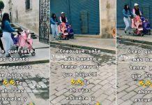 Como si fueran sus hijos, mujeres pasean a perritos en coches Como si fueran sus hijos, mujeres pasean a perritos en coches